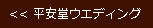 平安堂ウエディング