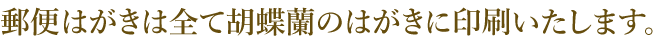 郵便はがきは全て胡蝶蘭のはがきに印刷いたします。