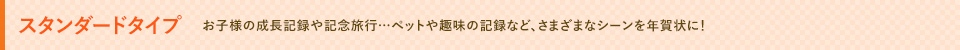 スタンダードタイプ